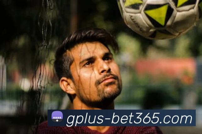 bet365全站App bet365全站App